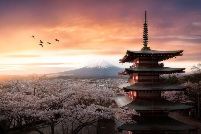 Mt Fuji Sightseeing Private Tour From Tokyo (English Driver) - Inclusions and Exclusions