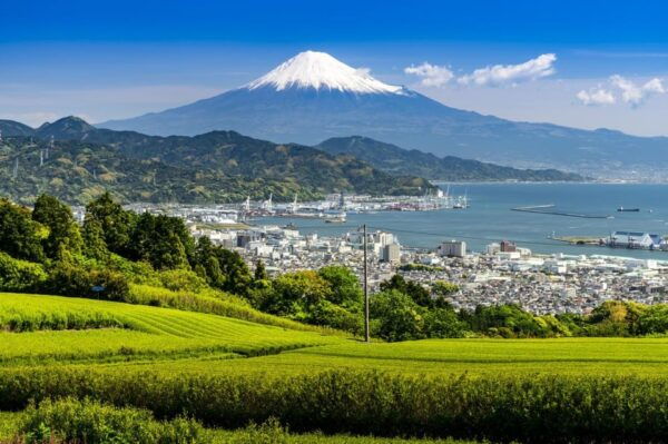 Mt Fuji Sightseeing Private Tour From Tokyo (English Driver) - Recommendations for Travelers