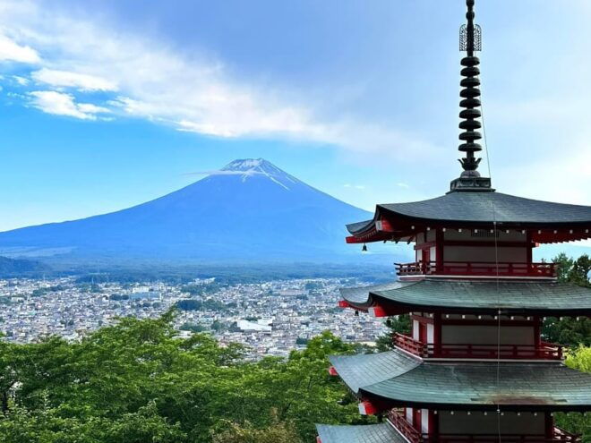 Mt Fuji Sightseeing Private Tour With English Speaking Guide - Inclusions and Extras