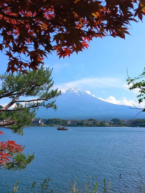 Mt Fuji Sightseeing Private Tour With English Speaking Guide - Tips for Travelers