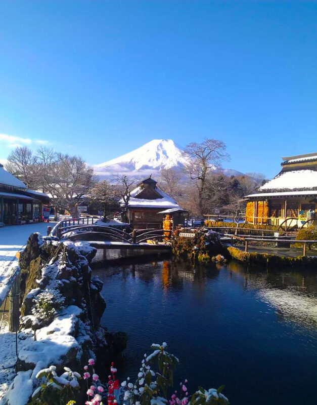 Mt. Fuji Six Views Popular Scenic Spots Check-in 9-Person Boutique Small Group Day Trip (Optional Hotel Pick-up) - Oshino Hakkai’s clear spring pools