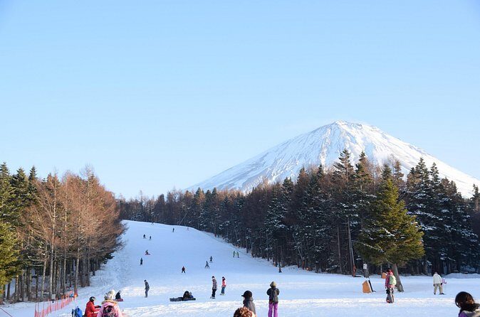 Mt Fuji Ski Resort Tour from Tokyo - The Sum Up