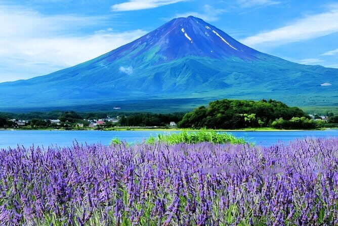 Mt Fuji Small Group 1 Day Tour Kawaguchi and Yamanaka with Pickup - Exploring the Mt Fuji Small Group 1 Day Tour: Kawaguchi and Yamanaka with Pickup