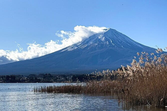 Mt Fuji Small Group 1 Day Tour Kawaguchi and Yamanaka with Pickup - Who Is This Tour Perfect For?