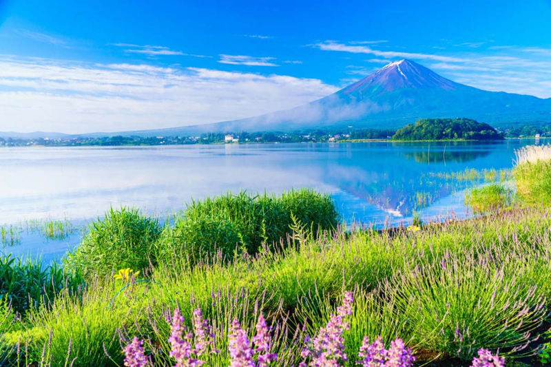 Mt. Fuji Small Group Day Tour: Lake Kawaguchiko Oishi Park & Arakurayama Sengen Park & Oshino Hakkai & Hikawa Clock Shop & Popular Lawson (Departing from Tokyo, optional hotel pick-up and drop-off) - The Lawson stop: a familiar shop in an unusual frame