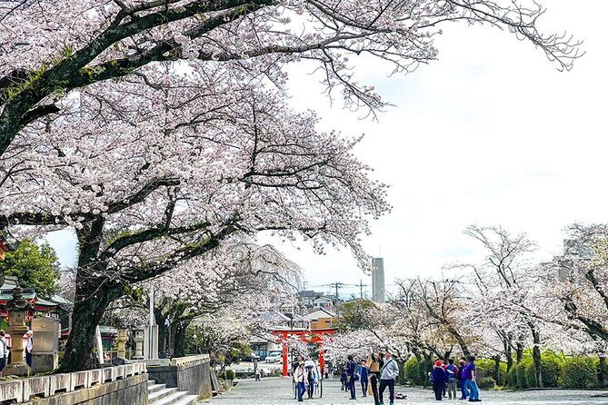 Mt.Fuji Small-Group Tour with Tea Farm,Strawberry Picking&Shrine - The Practical Side: What to Know Before You Go