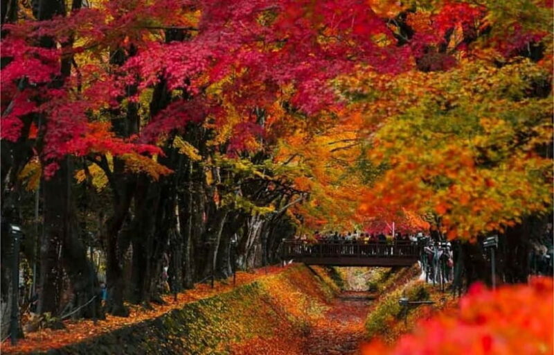 Mt Fuji Top 5 Spots Day Tour: Arakurayama Park,Oshino Hakkai - FAQ