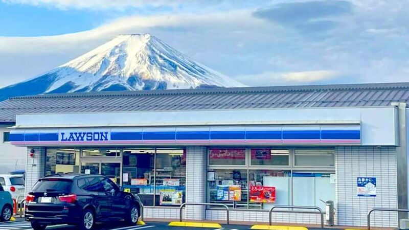 Mt. Fuji Top Spots Tour: Chureito Pagoda,Lake Views And More - Who Is This Tour Best For?