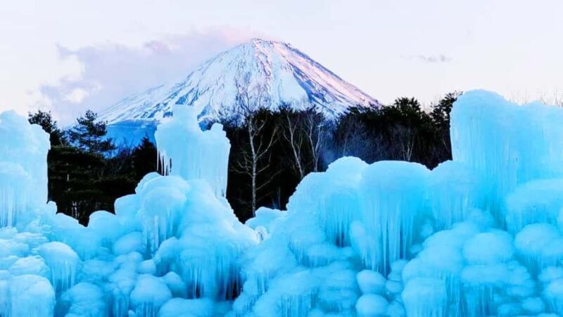 Mt. Fuji Top Spots Tour: Chureito Pagoda,Lake Views And More - Final Thoughts