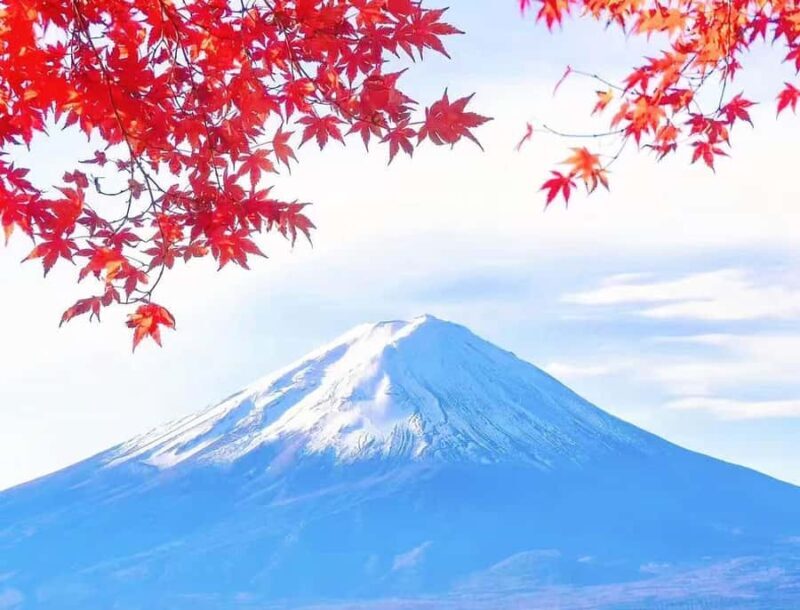 Mt. Fuji Top Spots Tour: Chureito Pagoda,Lake Views And More - FAQ