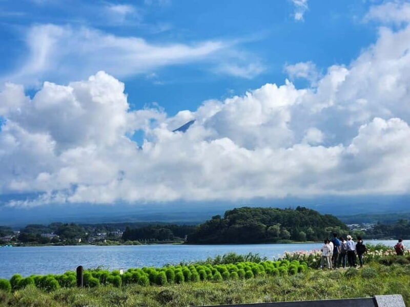 Mt Fuji Tour Customizable, fully Licenced Tour Operator - Good To Know