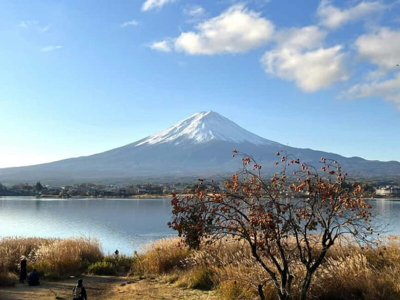 Mt Fuji Tour Customizable, fully Licenced Tour Operator - Introduction: A Flexible Way to See Mt. Fuji