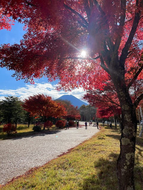 Mt. Fuji/ Tour Delivered and Guided by a Top-Tier Driver - Highlights of the Experience