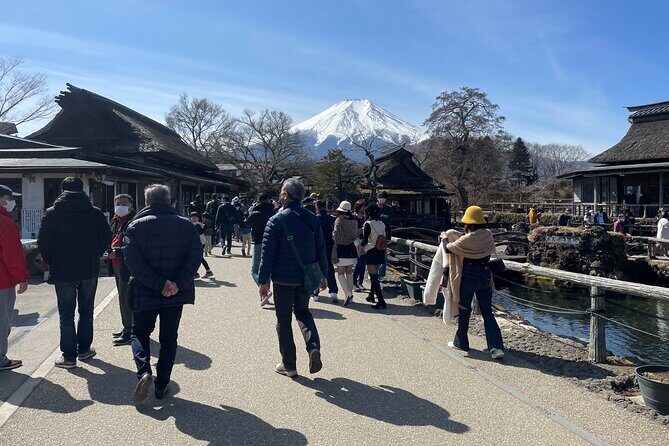 Mt Fuji Tour from Shimizu Port by Private Car - Good To Know