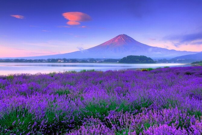 Mt. Fuji Tour in Lake Kawaguchi and Oshino Hakkai - Important Information