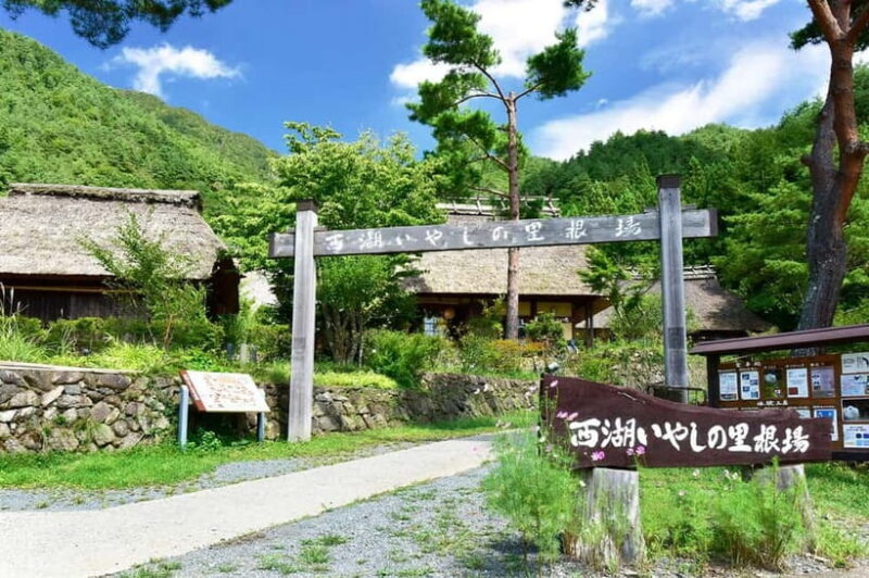 Mt Fuji Tour: Lake Kawaguchi, Shrine,Healing Village &Pagoda - Final Thoughts: Who Will Love This Tour?