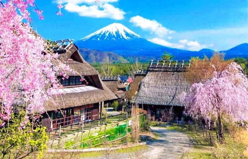 Mt Fuji Tour: Lake Kawaguchi, Shrine,Healing Village &Pagoda - Who Should Book This Tour?