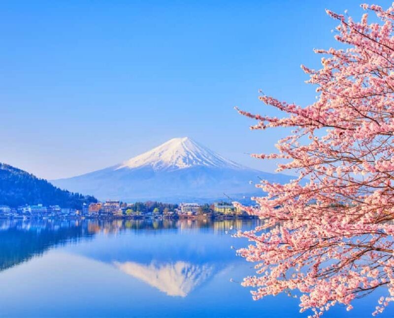 Mt. Fuji Tour: Lake Kawaguchiko Ropeway,Matcha,Oshino Hakkai - Who This Tour Is Best For