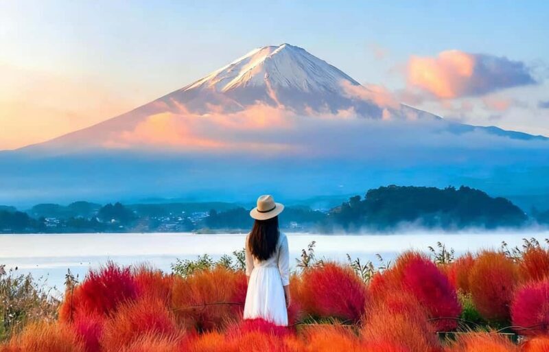 Mt. Fuji Tour: Lake Kawaguchiko Ropeway,Matcha,Oshino Hakkai - Good To Know