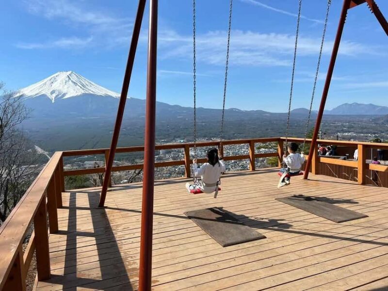 Mt. Fuji Tour: Lake Kawaguchiko Ropeway,Matcha,Oshino Hakkai - Who Will Love This Tour?