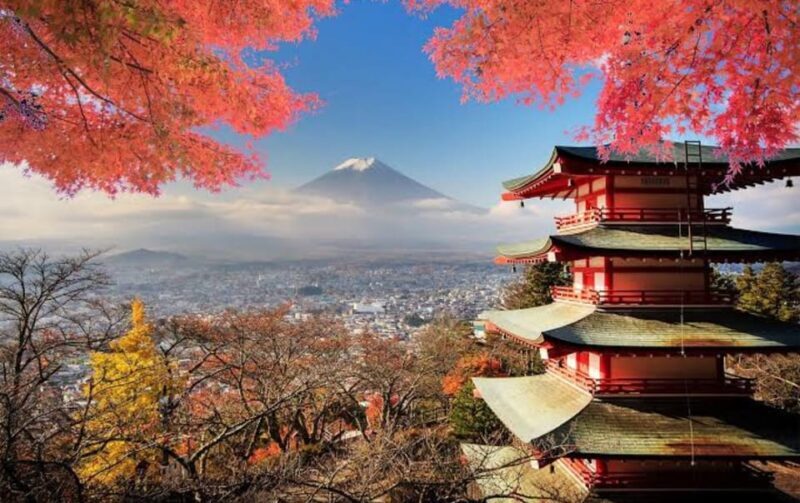 Mt Fuji Tour With Experienced English Driver - Who Is This Tour Best For?
