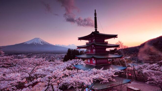 Mt Fuji Tour With Experienced English Driver - Transportation Details