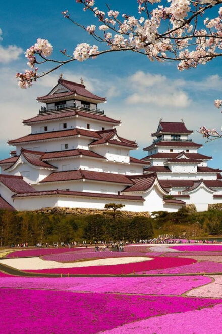 Mt Fuji Tour With Experienced English Driver - Booking Information