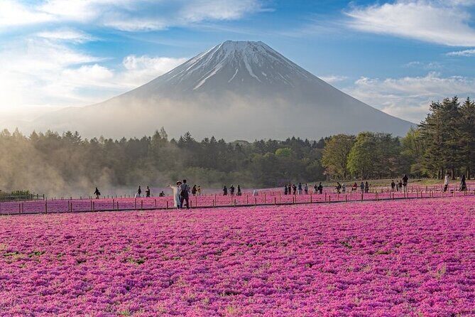 Mt Fuji Tour with Japanese Local Guide on Private Car from Tokyo - Who Would Love This Tour?