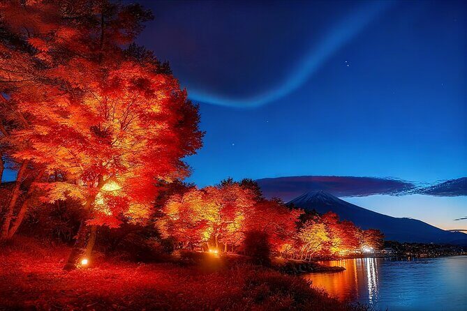 Mt Fuji Twin Lakes Maple Festival Night Lights Tour - Good To Know