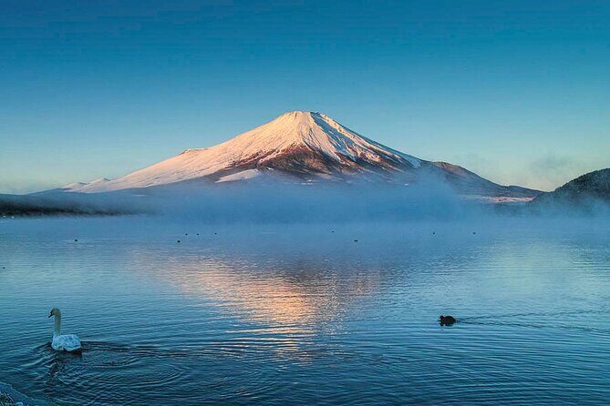 Mt Fuji Twin Lakes Maple Festival Night Lights Tour - FAQ