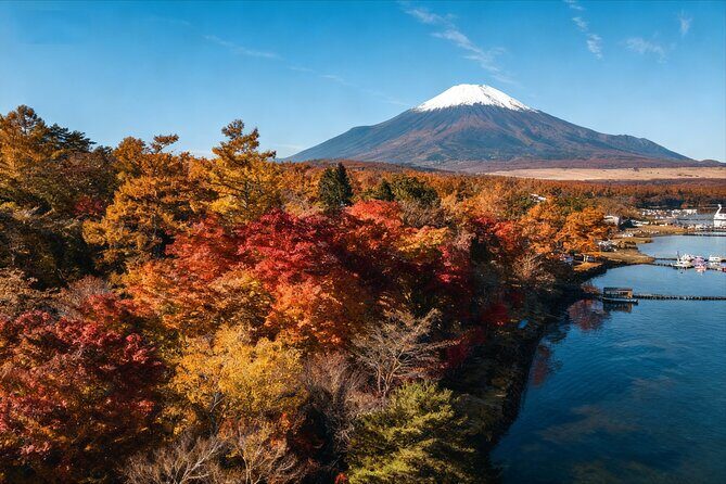 Mt Fuji Twin Lakes Maple Festival Night Lights Tour - What Travelers Say and The Real Deal