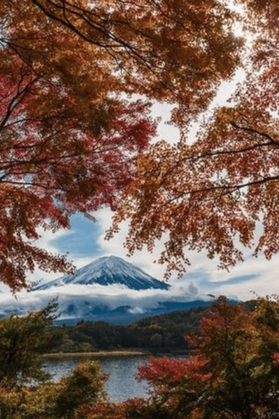Mt Fuji : Unforgettable Tour With English Tour Guide - Booking Information