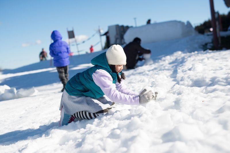 Mt. Fuji View: Snow Fun at Fujiten & Oishi Park Sightseeing Tour - Choosing between skis, a board and a sled
