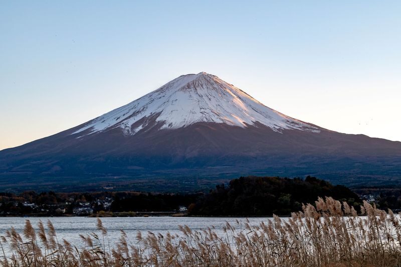 Mt. Fuji View: Snow Fun at Fujiten & Oishi Park Sightseeing Tour - Guide support and the long ride back