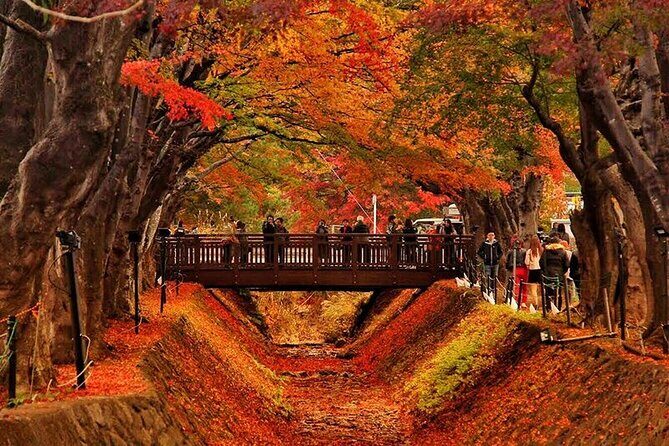 Mt. Fuji Views and Kawaguchiko Scenic Day Tour From Tokyo - A Detailed Look at the Tour Experience