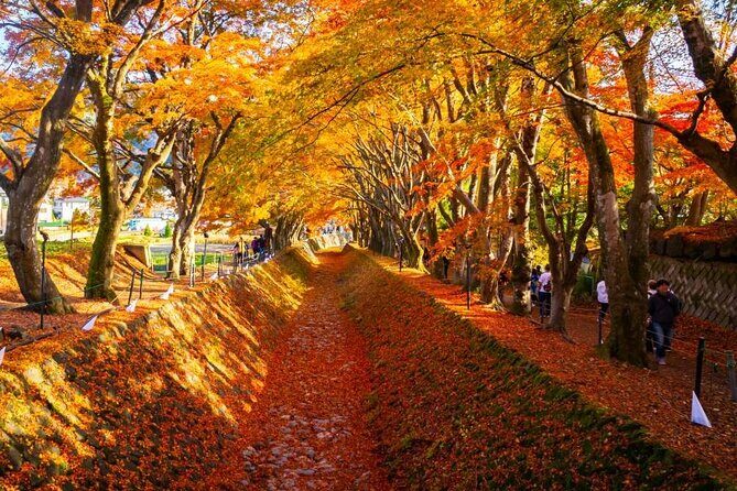 Mt. Fuji Views and Kawaguchiko Scenic Day Tour From Tokyo - Who Is This Tour Best For?