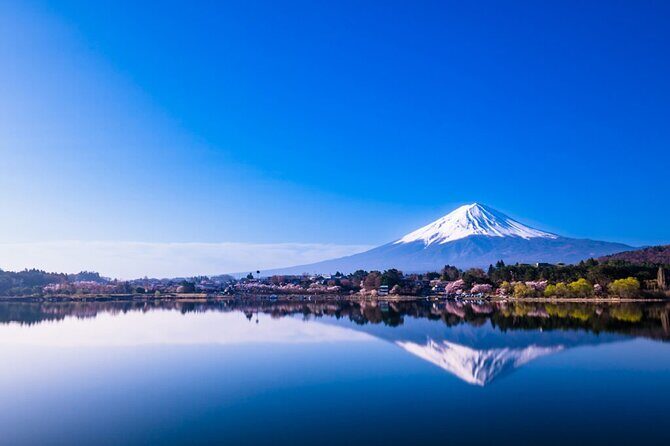 Mt. Fuji Views and Kawaguchiko Scenic Day Tour From Tokyo - Lunch and Additional Inclusions