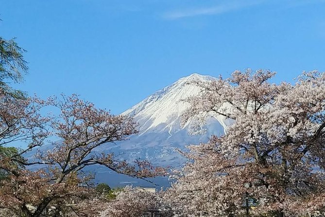Mt. Fuji, Visit Where All the Japanese People Belong (Chartered Taxi Tour) - Exploring Mt. Fujis Cultural Significance