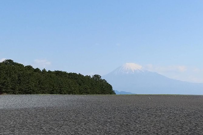 Mt. Fuji, Visit Where All the Japanese People Belong (Chartered Taxi Tour) - Customizing Your Mt. Fuji Experience