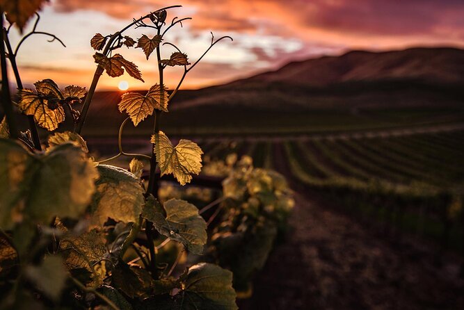 Mt Fuji Wineries Half-Day Tour - Alcoholic Beverages