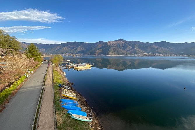 Mt Fuji Wineries Half-Day Tour - Private Transportation