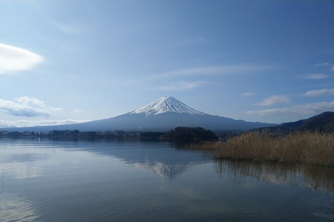 Mt Fuji With Kawaguchiko Lake Day Tour - Transportation Options