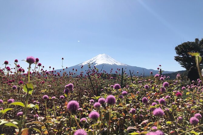 Mt Fuji With Kawaguchiko Lake Day Tour - Recommended Activities