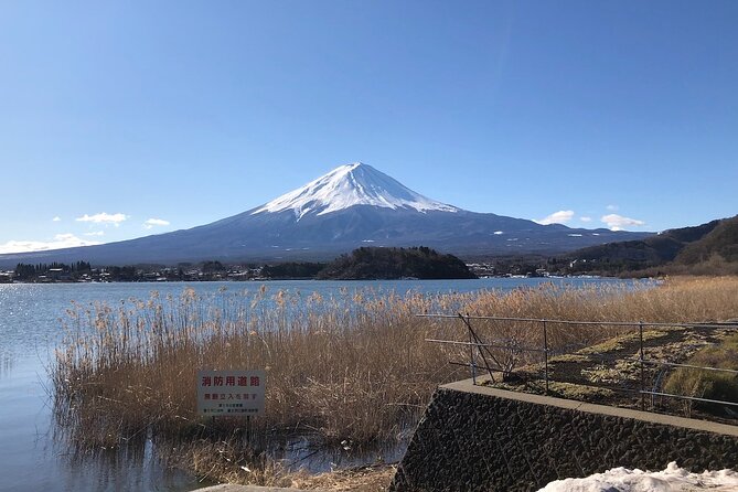 Mt Fuji With Kawaguchiko Lake Day Tour - Common Questions