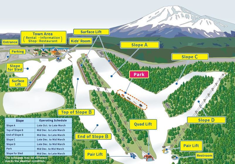 Mt. Fuji Yeti Ski Day Tour (Depart from Tokyo or Shinjuku) - Who will get the most from this trip?