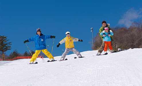 Mt. Fuji Yeti Ski Day Tour (Depart from Tokyo or Shinjuku) - Should you book the Mt. Fuji Yeti day tour?