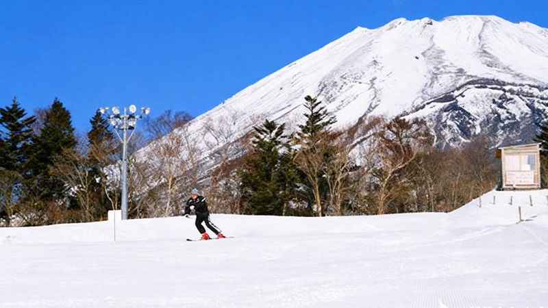 Mt. Fuji Yeti Skiing & "Konohana no Yu" Hot Spring (Mt. Fuji Viewable) Day Trip (From Tokyo) - What the price buys, and what it does not