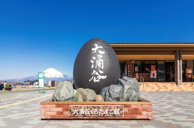 Mt.Fuji:Hakone Cruise, Ropeway&Oshino Hakkai Full-day Tour - Hakone Shrine and Lake Ashi