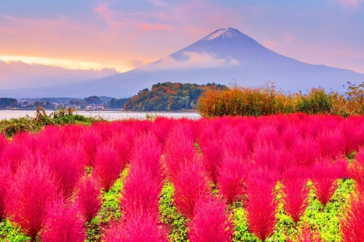 Mt.Fuji:Lake Kawaguchi,Yamanaka & Onsen Day Tour From Tokyo - Good To Know