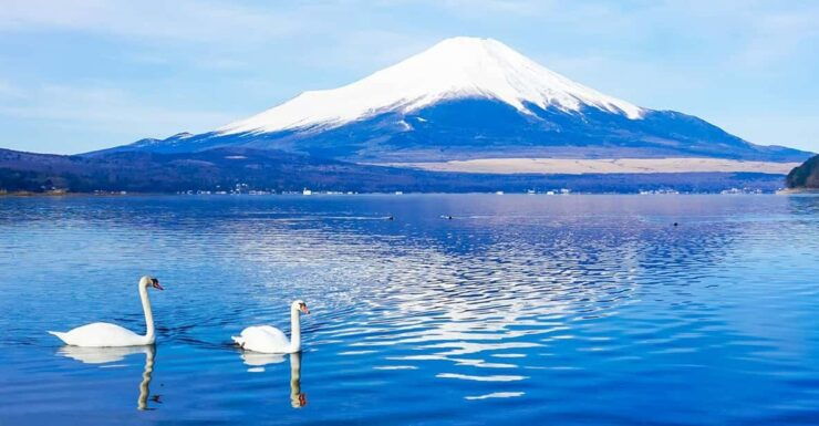 Mt.Fuji:Lake Kawaguchi,Yamanaka & Onsen Day Tour From Tokyo - Itinerary Highlights